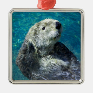 Schönes Meer Otter Niedliches blaues Wasser Ornament Aus Metall