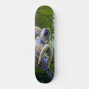 Schönes Meeresschildkrötenschwimmen Skateboard