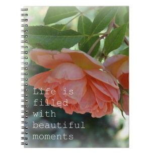 Schönes Moment-Rosen-Zeitschriften-Notizbuch Notizblock