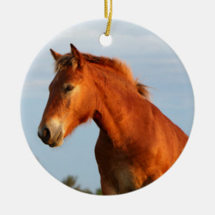 Schönes Mule Pferd Keramik Ornament