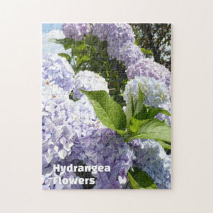 Schönes Nature Hydrangea Garden Blume Foto