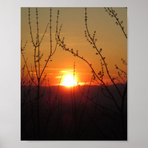 Schönes Naturschutzgebiet Sonnenuntergang Poster