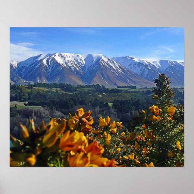 Schönes Neuseeland Poster (Vorne)