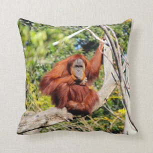 Schönes Orang-Utan Foto Kissen