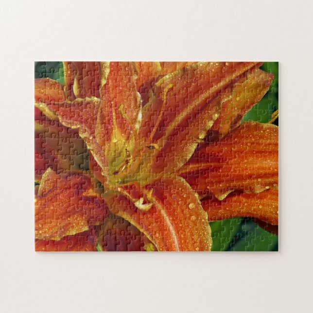Schönes Orangenlippenpuzzle (Horizontal)