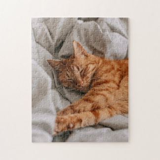 Schönes Orangenschläfchen Cat Jigsaw Puzzle