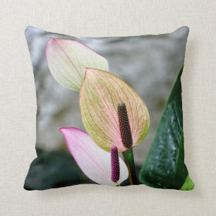 Schönes Orchideen-Kissen Kissen