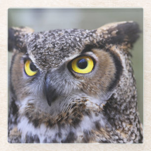Schönes Owl Glasuntersetzer