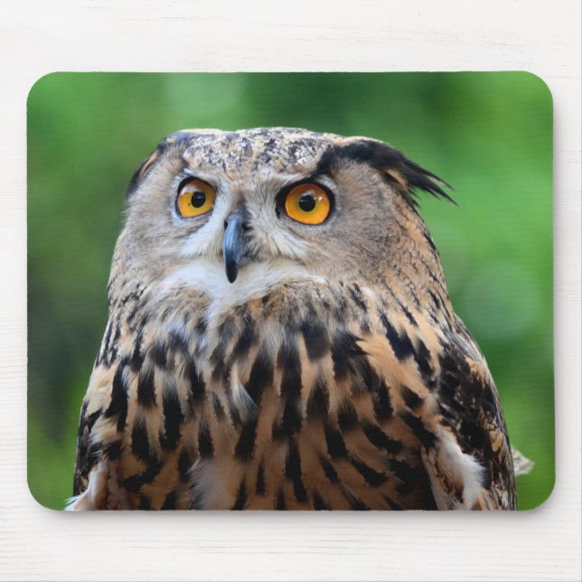 Schönes Owl Mouse Pad Mousepad (Vorne)