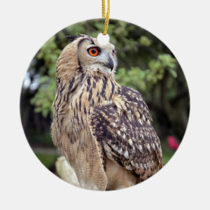 Schönes Owl Wildlife Foto Geschenke Keramik Ornament