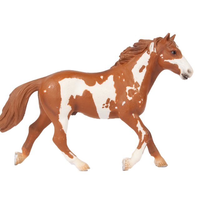 Schönes Paint Horse T-Shirt (Von Creator hochgeladen)