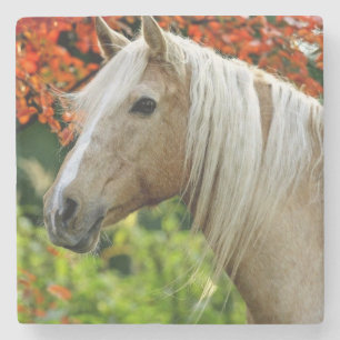 Schönes Palomino-Entwurfs-Pferd Steinuntersetzer