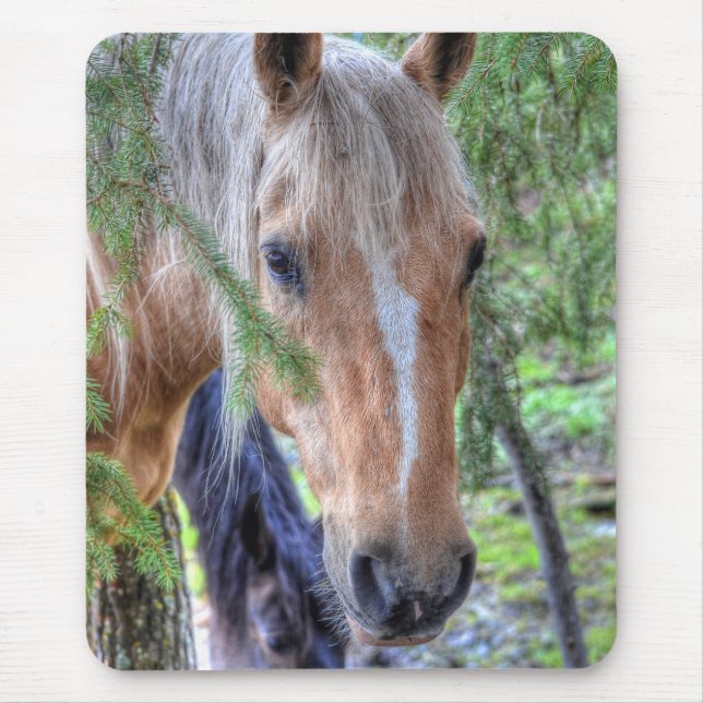 Schönes Palomino Paint Horse & Branchen im Regen Mousepad (Vorne)