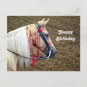 Schönes Palomino-Pferd Foto Geburtstag Postkarte