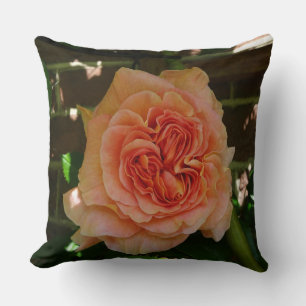 Schönes Pastell Rose Kissen