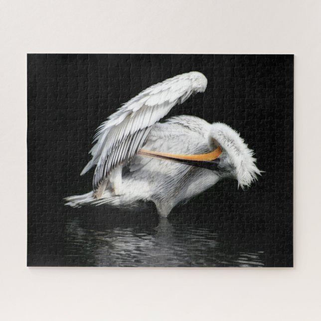 Schönes Pelican, Jigsaw Puzzle (Horizontal)