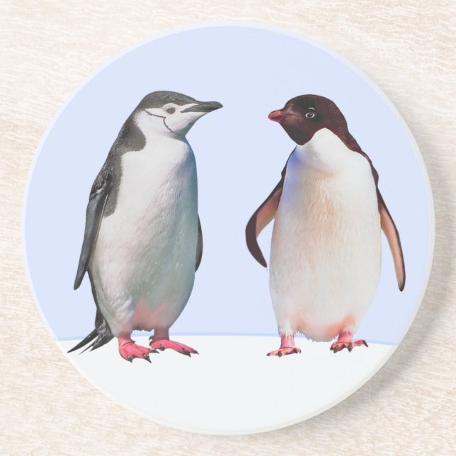 Schönes Penguin Bird Couple auf Light Blue Getränkeuntersetzer (Vorne)