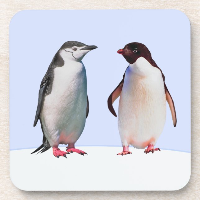 Schönes Penguin Bird Couple auf Light Blue Getränkeuntersetzer (Vorderseite)