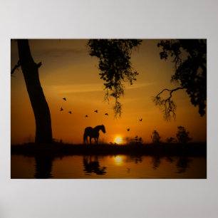 Schönes Pferd am Goldenen Teich mit Vögeln Poster