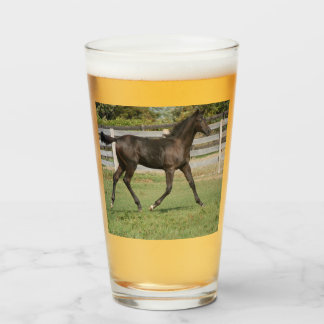 Schönes Pferd auf dem Feld Glas