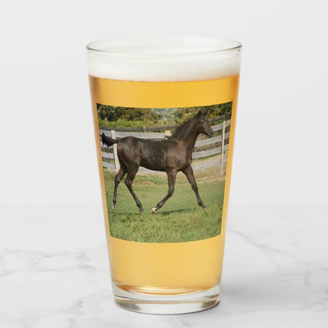 Schönes Pferd auf dem Feld Glas (Vorne (Gefüllt))