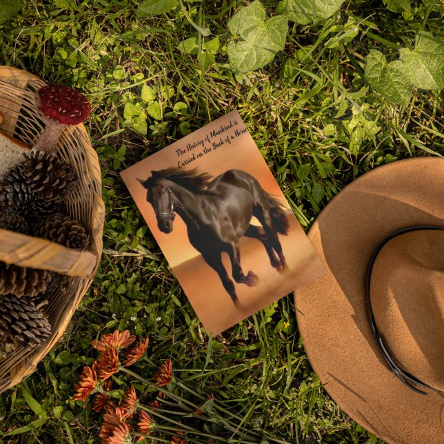 Schönes Pferd auf orangefarbenem Sonnenaufgang Postkarte (Von Creator hochgeladen)