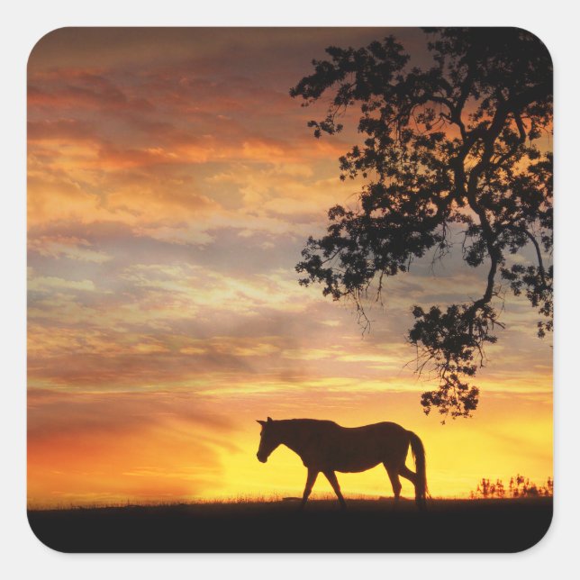 Schönes Pferd in einem fiery Sonnenuntergang Stick Quadratischer Aufkleber (Vorderseite)