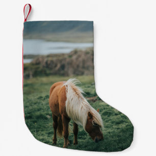 SCHÖNES PFERD KLEINER WEIHNACHTSSTRUMPF