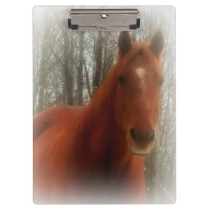 Schönes Pferd Klemmbrett
