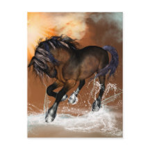 Schönes Pferd