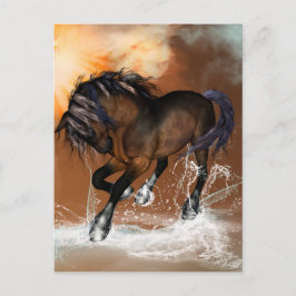 Schönes Pferd Postkarte
