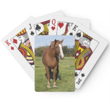 Schönes Pferd