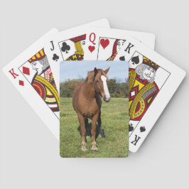 Schönes Pferd Spielkarten
