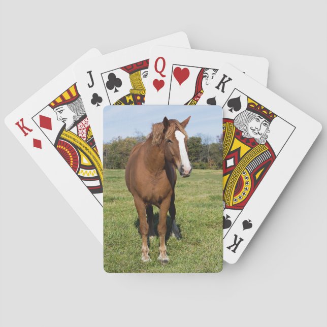 Schönes Pferd Spielkarten (Rückseite)