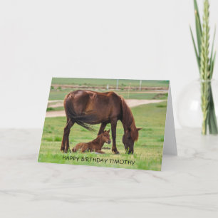 Schönes Pferd und Fohlen in einer Wiese Karte