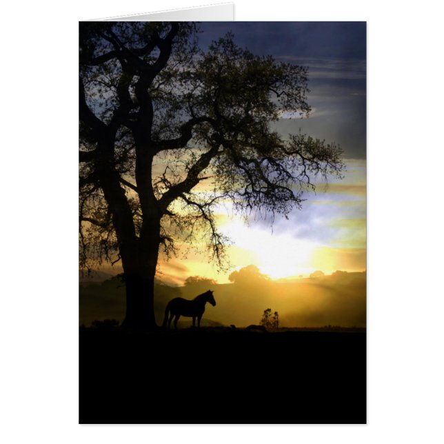 Schönes Pferd und Sonnenuntergang denken Sie an Ih (Vorne)
