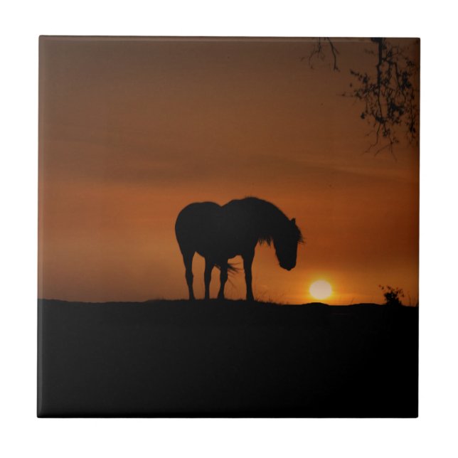 Schönes Pferd und südwestlicher Sonnenuntergang Fliese (Vorderseite)
