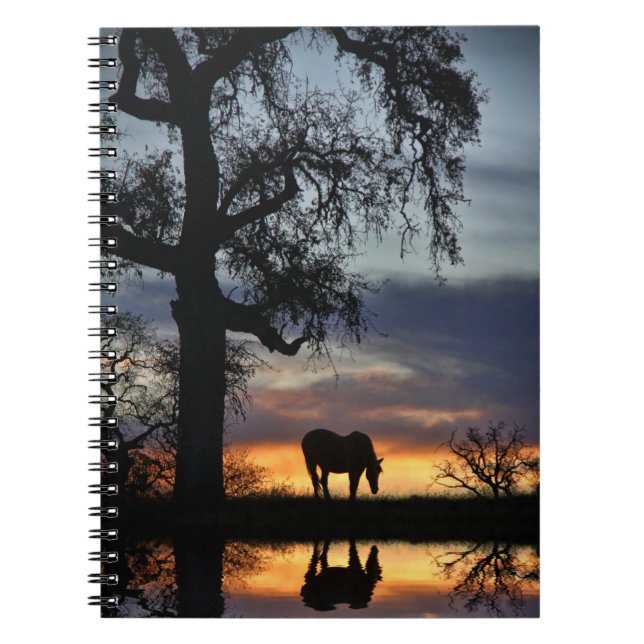 Schönes Pferd und Wasser im Sonnenuntergang Notizblock (Vorderseite)