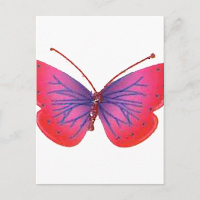 Schönes Phantastisches Rosa und lila Schmetterling Postkarte (Vorderseite)