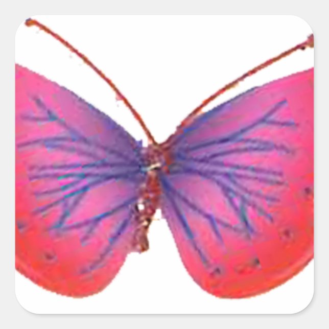Schönes Phantastisches Rosa und lila Schmetterling Quadratischer Aufkleber (Vorderseite)
