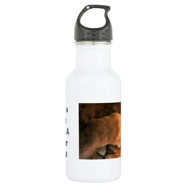 Schönes, phantastisches und anpassbares Design Edelstahlflasche (Vorderseite)
