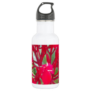 Schönes, phantastisches und anpassbares Design Trinkflasche