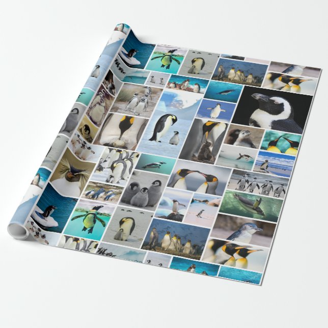 Schönes Pinguin Foto Collage Muster Geschenkpapier (Ungerollt)