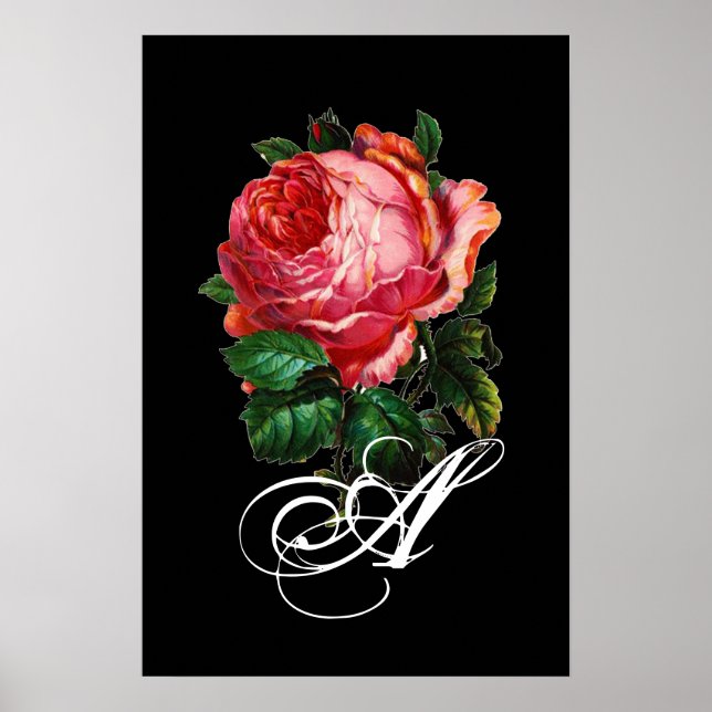 SCHÖNES PINKES ROSENMONOGRAMM POSTER (Vorne)