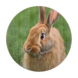 Schönes Rabbit Schneidebrett