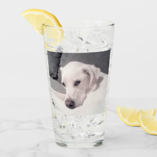Schönes Regal White Labrador Mix Dog Graues Glas
