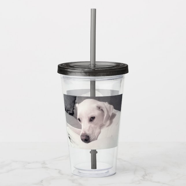 Schönes Regal White Labrador Mix Dog Gray Acryli Acryltrinkbecher (Vorderseite)
