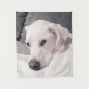 Schönes Regal White Labrador Mix Dog Gray Tapest Wandteppich