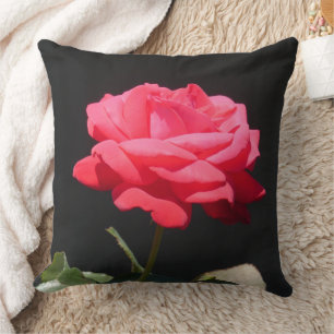 Schönes Rettich Rosa Rose Nah-Up Kissen