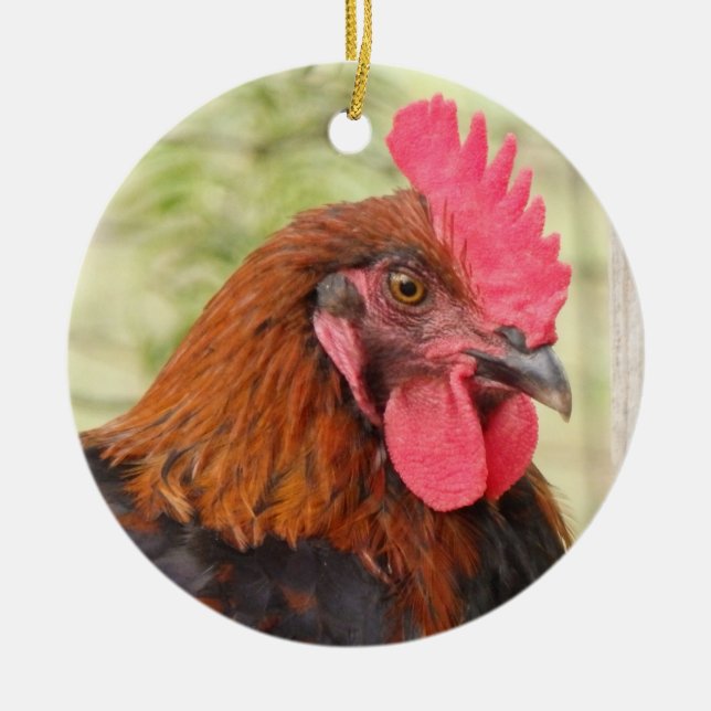 Schönes Rooster Keramik Ornament (Vorne)